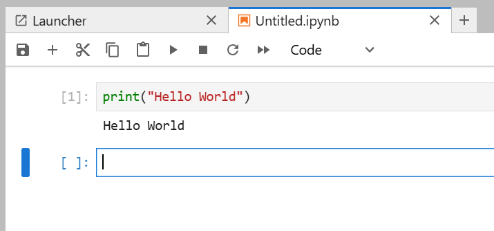 Jupyter Notebook interface in browser.