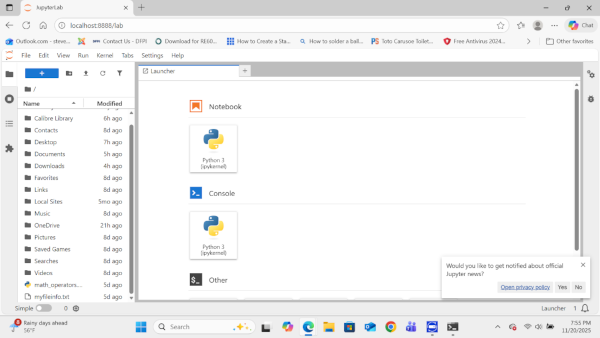Jupyter Lab interface in browser.